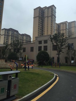 紫御华庭11栋